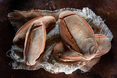 Bread